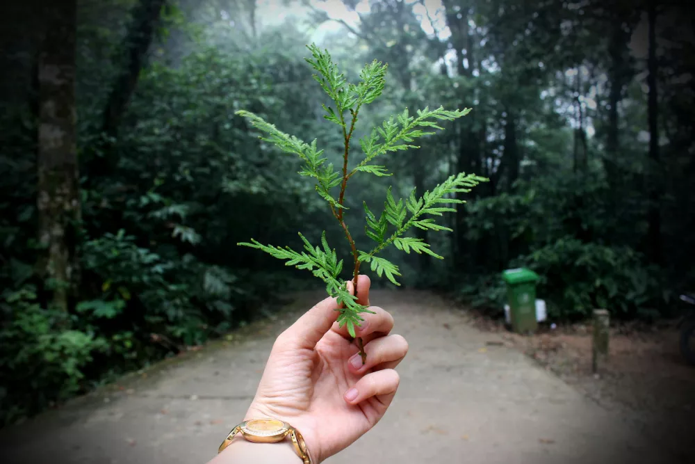 Environnement, économie et [bien-être]